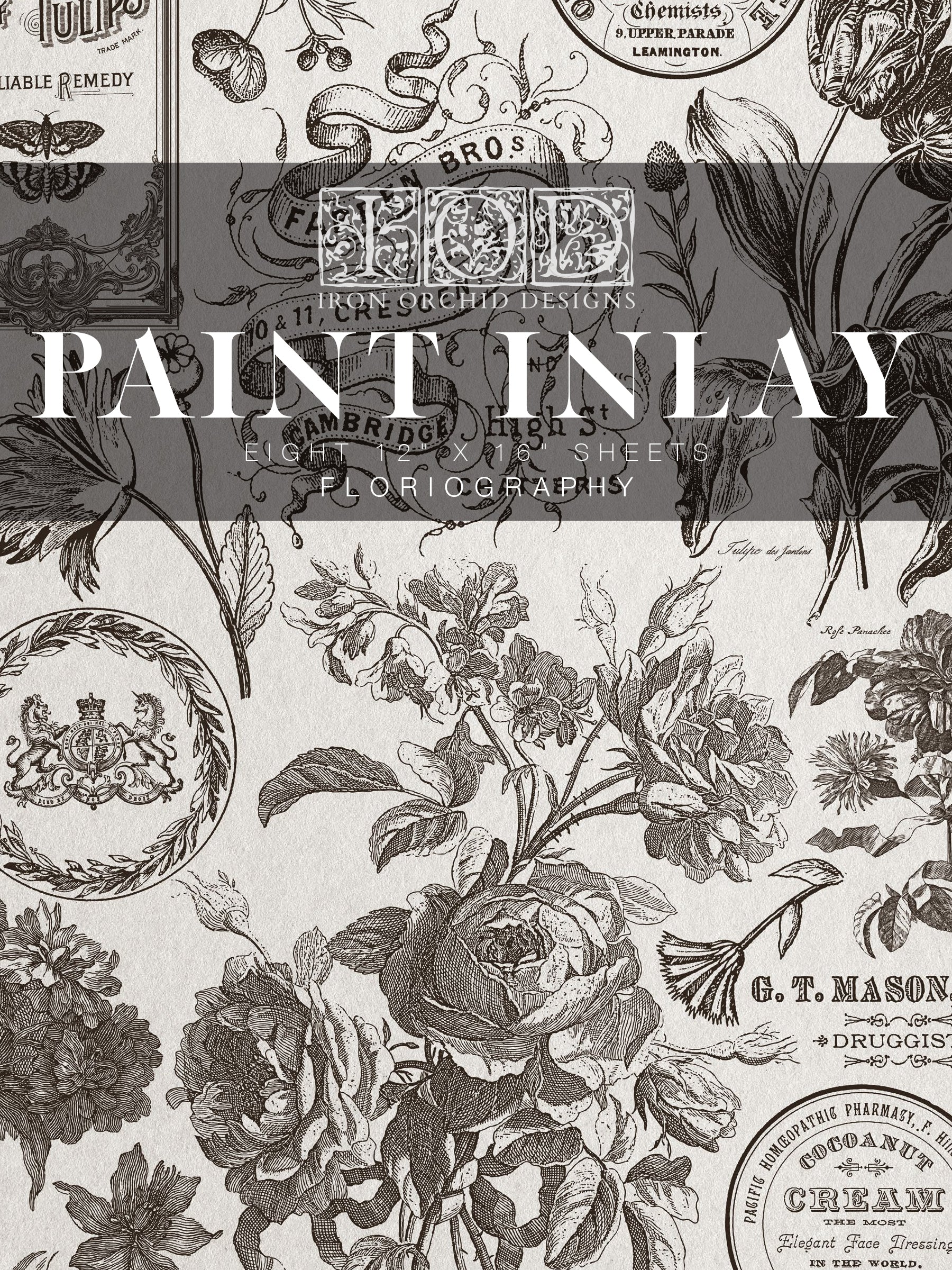 Floriographie Paint Incru