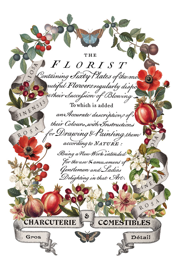 Transferência de Clementine pela Iron Orchid Designs IOD Christmas 2025 Limited Edition