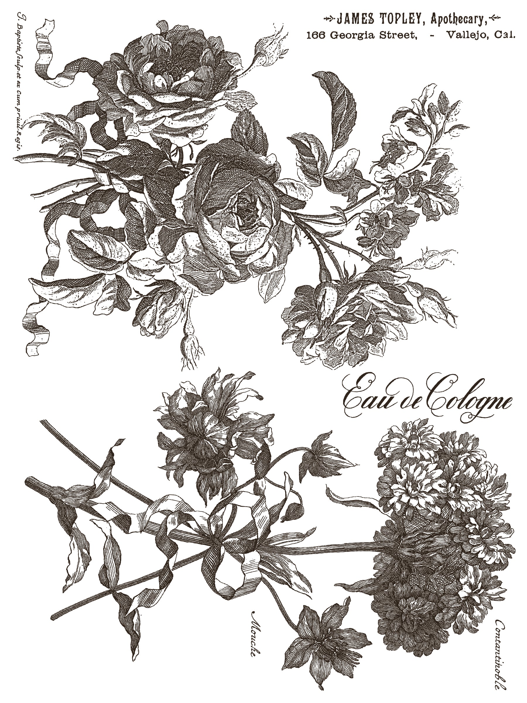 Floriographie Paint Incru