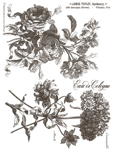 Floriographie Paint Incru
