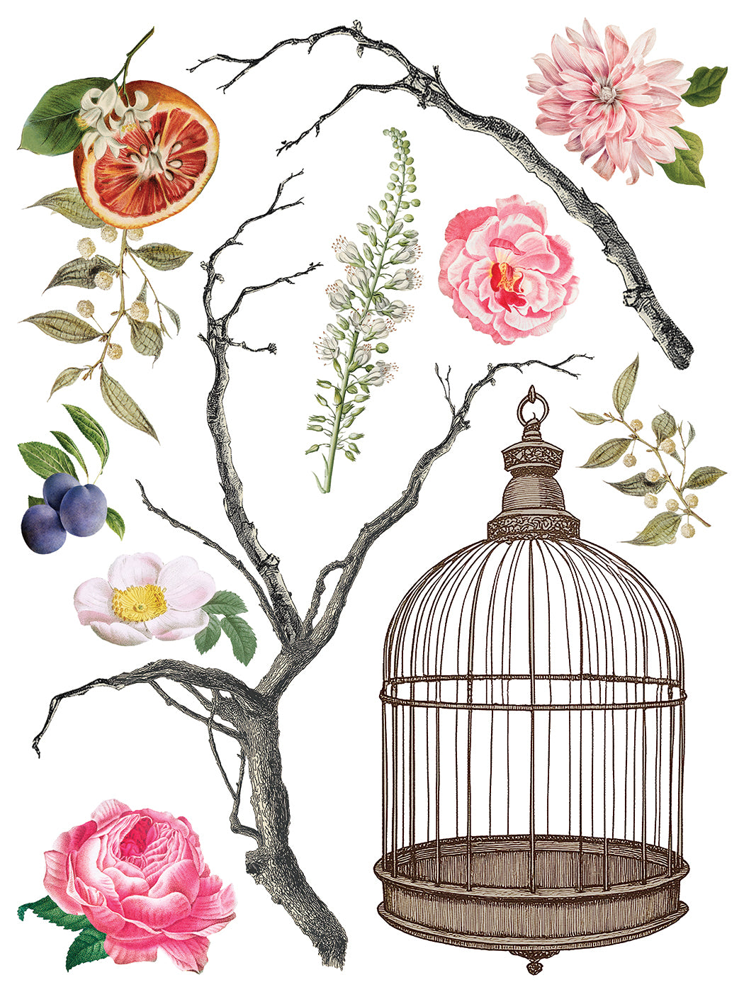 Transfert de ménagerie par Iron Orchid Designs IOD Summer 2025