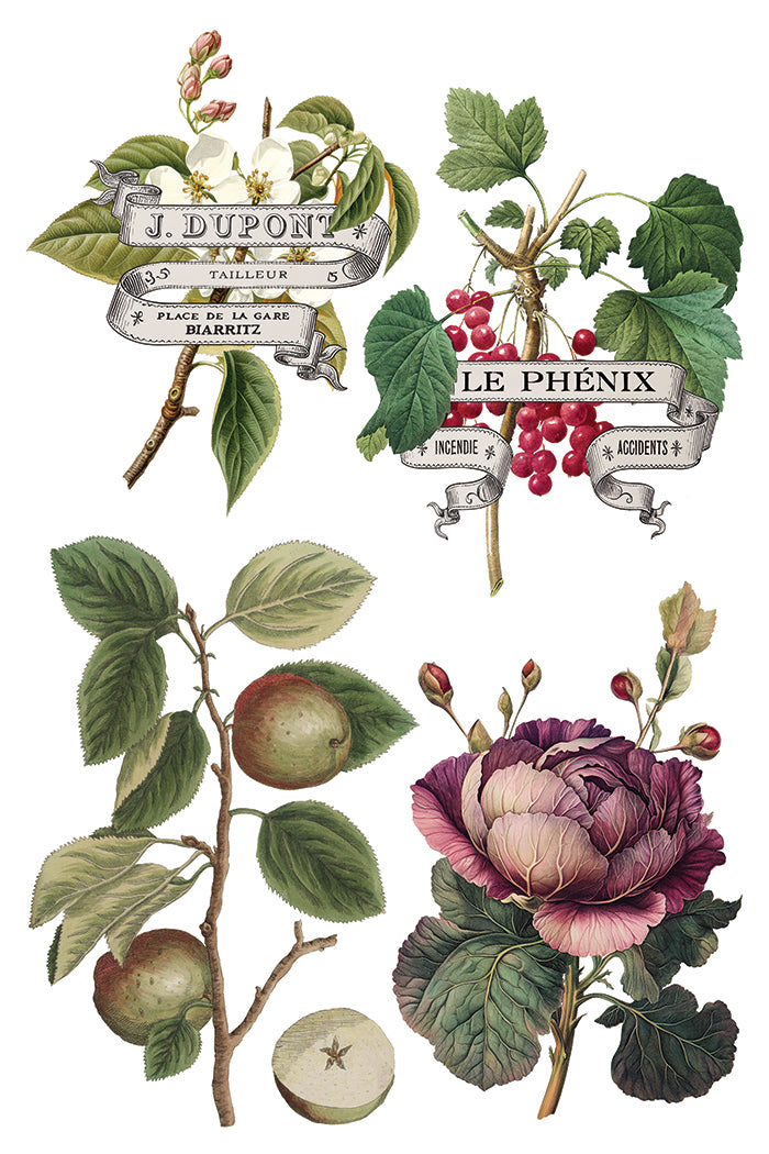 Transferência de Clementine pela Iron Orchid Designs IOD Christmas 2025 Limited Edition