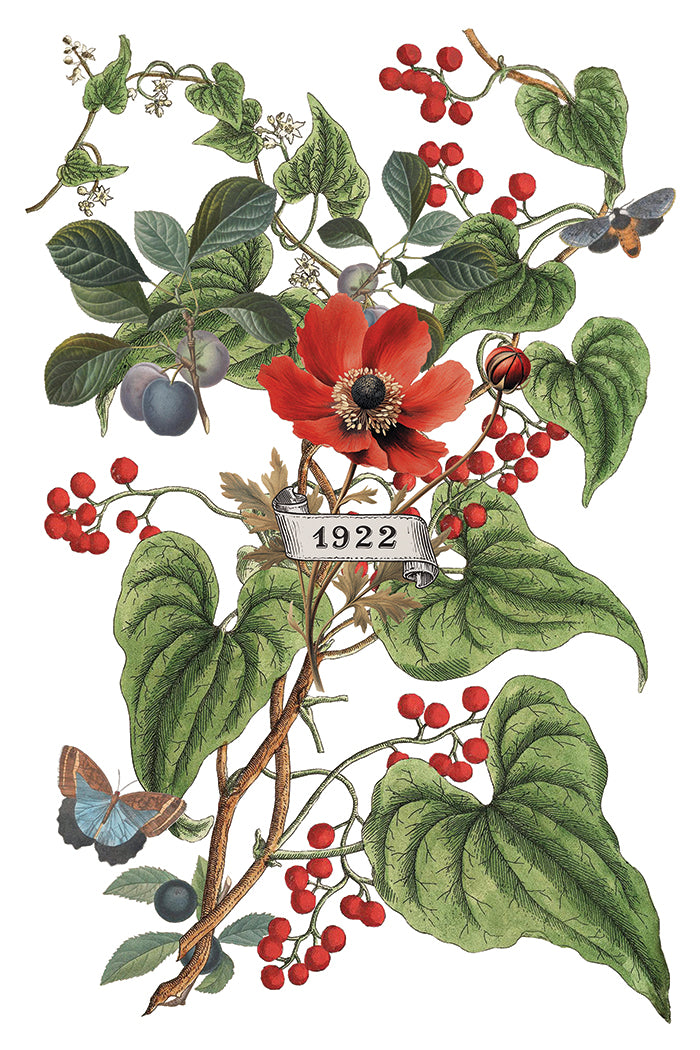 Transferência de Clementine pela Iron Orchid Designs IOD Christmas 2025 Limited Edition