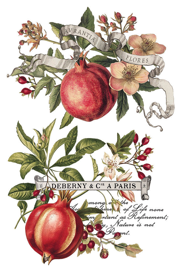 Transferência de Clementine pela Iron Orchid Designs IOD Christmas 2025 Limited Edition