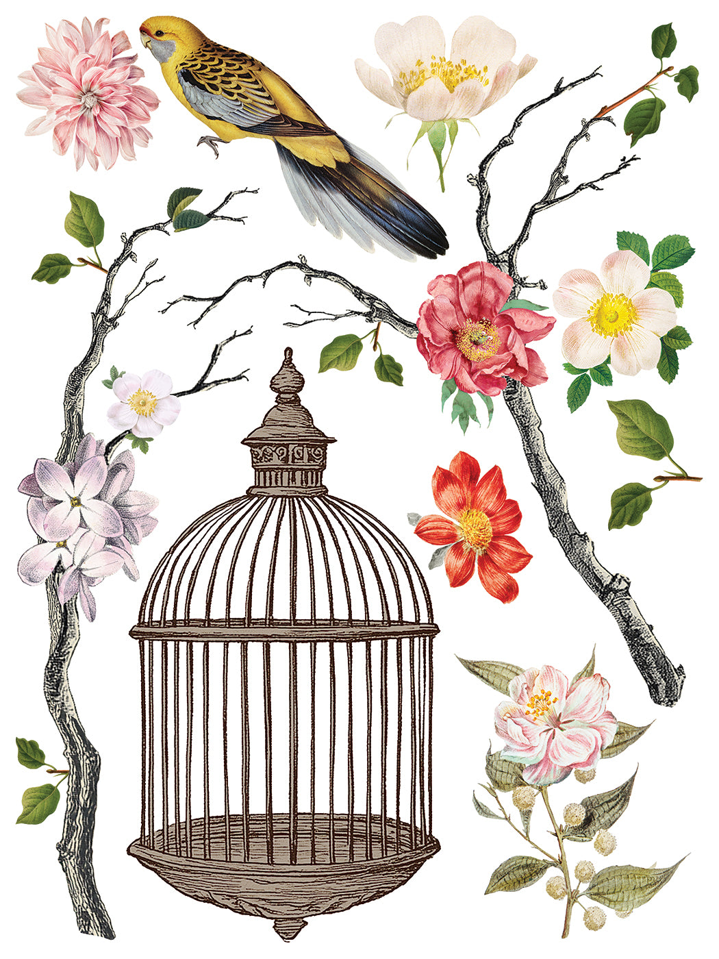 Transfert de ménagerie par Iron Orchid Designs IOD Summer 2025