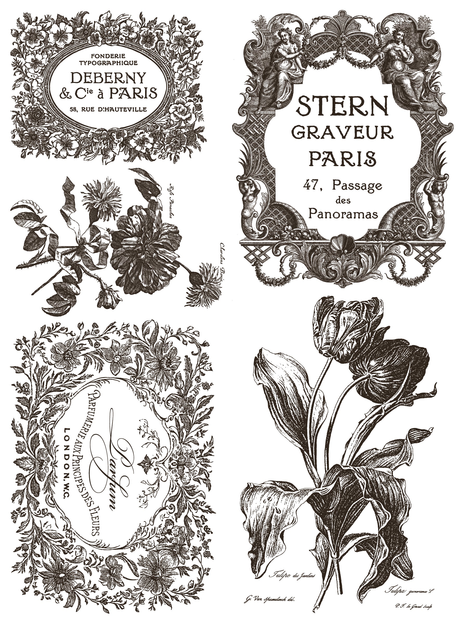 Floriographie Paint Incru