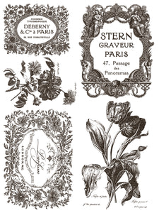 Floriographie Paint Incru
