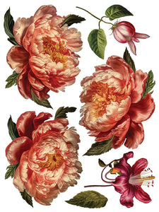 Collage De Fleurs Transfer by Iron Orchid Designs IOD