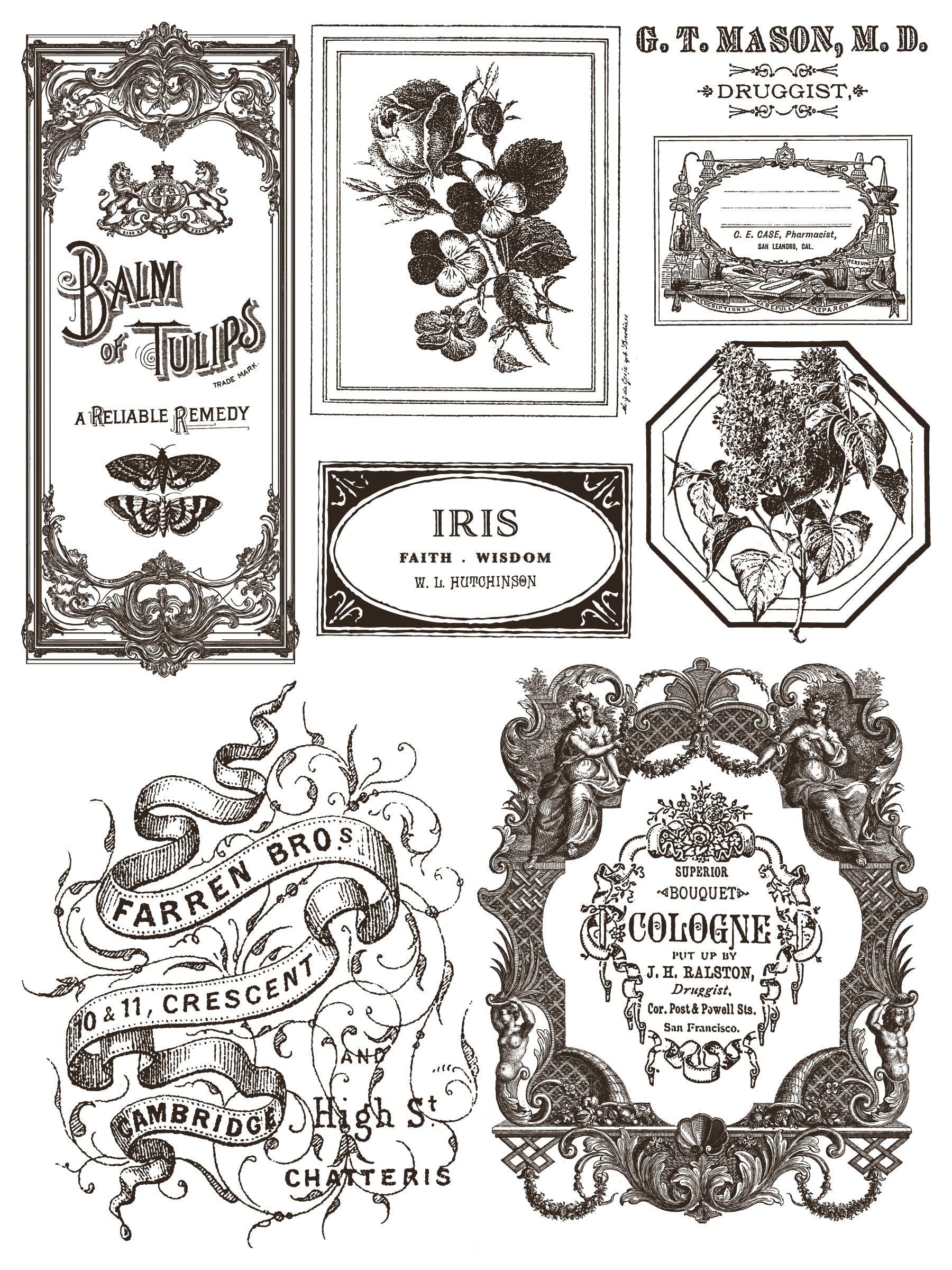 Floriographie Paint Incru