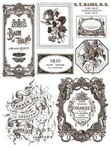 Floriographie Paint Incru