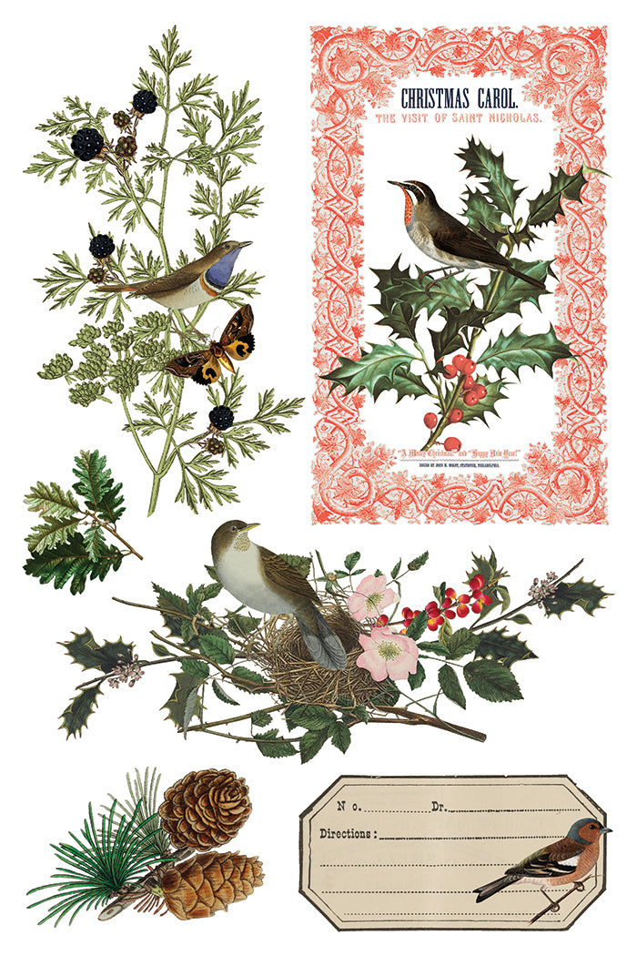 Transferência de Botanista de Inverno por Iron Orchid Designs IOD Christmas 2025 Limited Edition