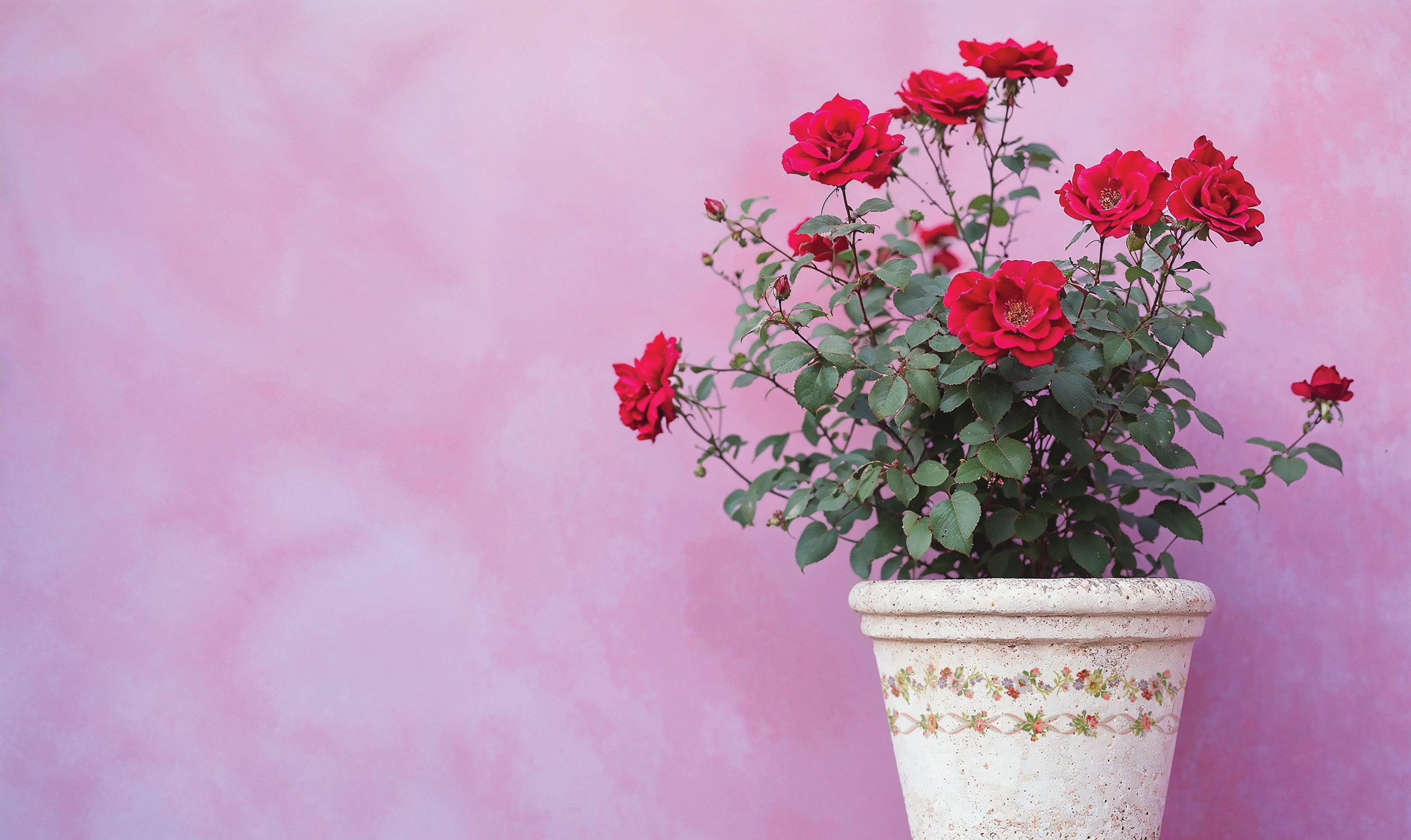 Intarsio di verniciatura di fioristi ditsy da disegni di orchidea di ferro iod