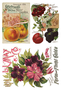Seed Catalogue Transfer by Iron Orchid Designs IOD