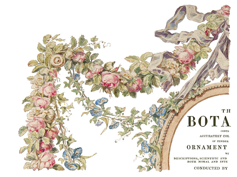 The Botanist Transfer by Iron Orchid Designs IOD