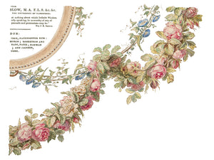 The Botanist Transfer by Iron Orchid Designs IOD