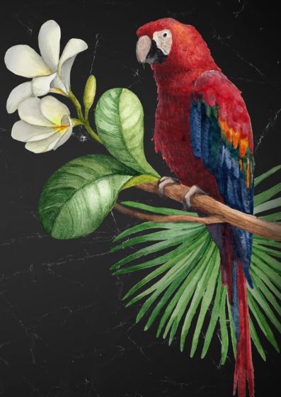 Parrot Decoupage Paper- Mint by Michelle Decoupage Paper