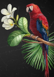 Parrot Decoupage Paper- Mint by Michelle Decoupage Paper