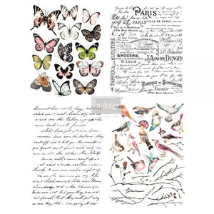 Parisian Butterflies