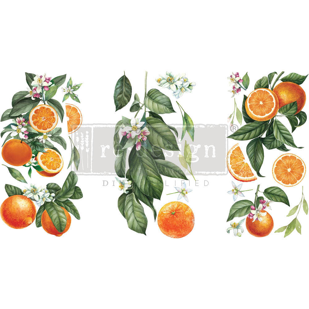 Citrus Slice Decor Transfer by Redesign by Prima