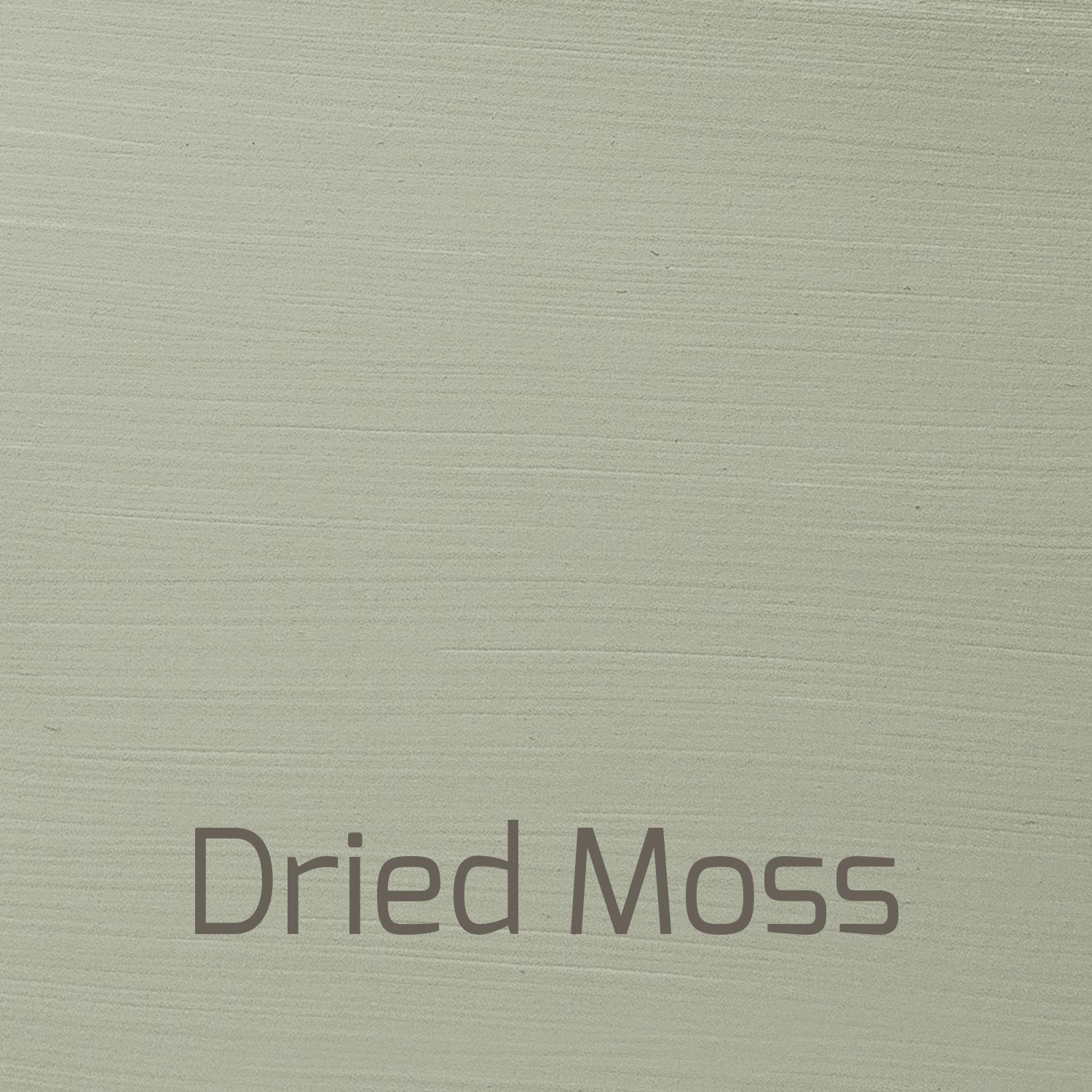 Dried Moss - Versante Matt-Versante Matt-Autentico Paint Online