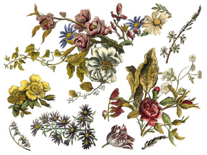 Floral Anthology Transfer Iron Orchid Designs IOD