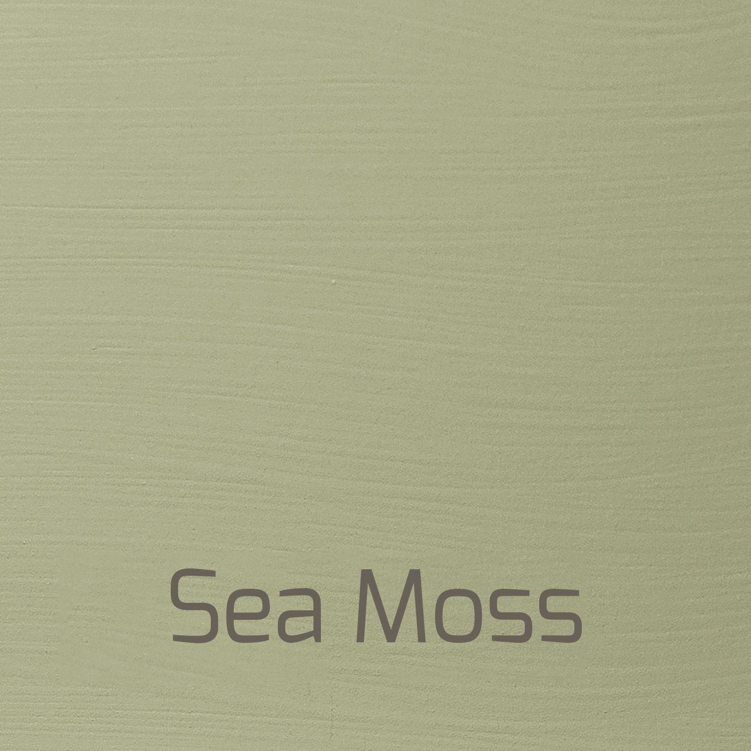 Sea Moss - Vintage-Vintage-Autentico Paint Online