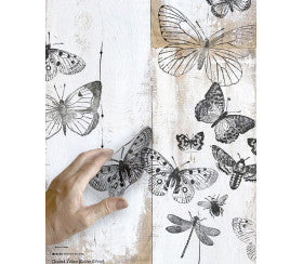 Butterfly Stamp by Iron Orchid Designs