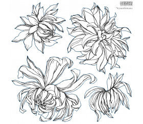Chrysanthemums Double Stamp by Iron Orchid Designs IOD