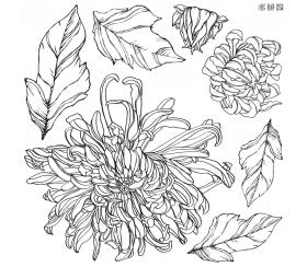 Crisantemo Doble sello de Iron Orchid Designs IOD