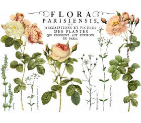 Flora Parisiensis Transfer by Iron Orchid Designs IOD