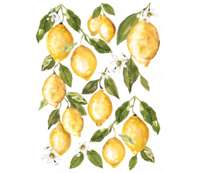 Trasferimento di goccia di limone da disegni di orchidee di ferro