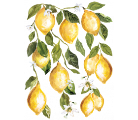 Trasferimento di goccia di limone da disegni di orchidee di ferro